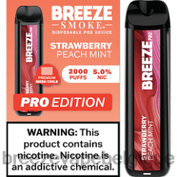 fraise pêche menthe