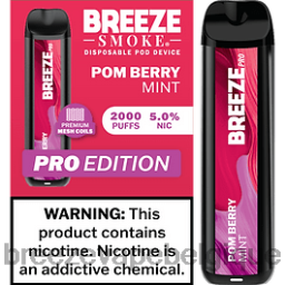 menthe pom-berry