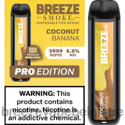 Breeze Pro 2000 bouffées | Breeze Vape Wholesale Price D2B2026 banane noix de coco